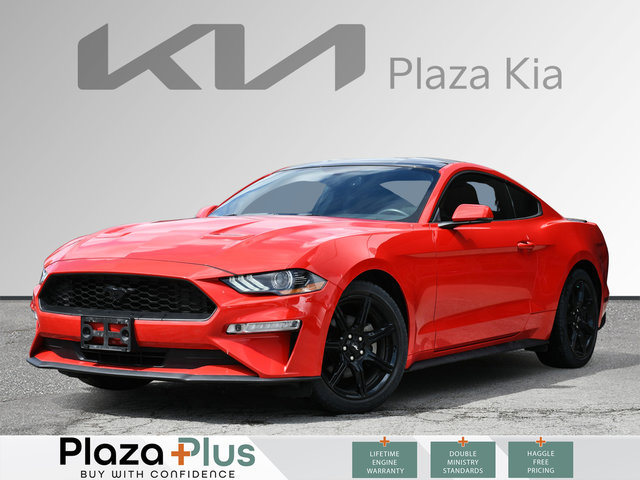 2019 Ford Mustang