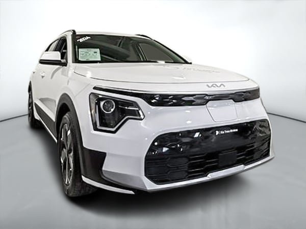 Niro électrique