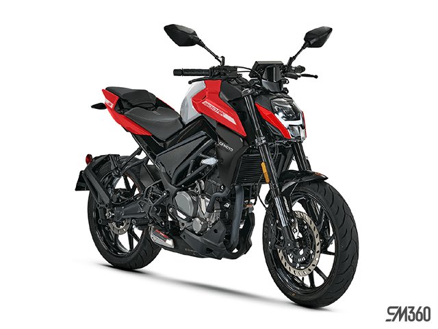 2024 CFMOTO 300NK