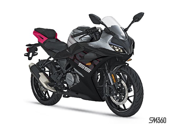 2024 CFMOTO 300SS