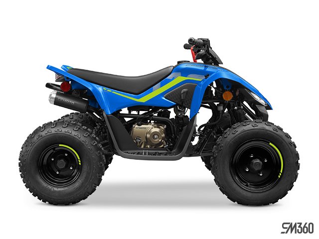 2024 CFMOTO CFORCE 110