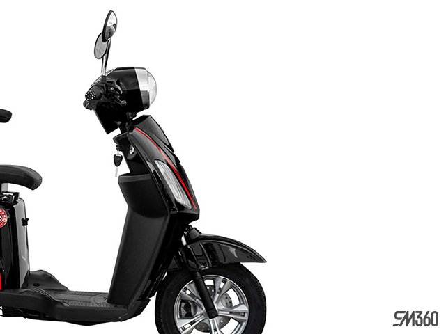 2024 Daymak ROADSTAR DELUXE