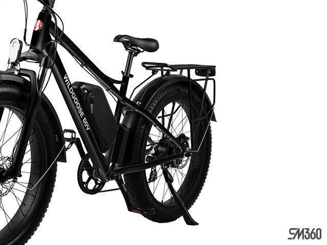 2024 Daymak WILD GOOSE 60V