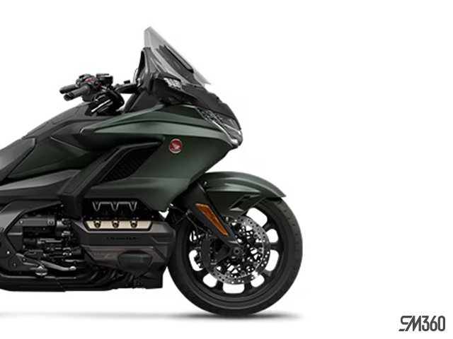 Honda goldwing bagger for sale on sale