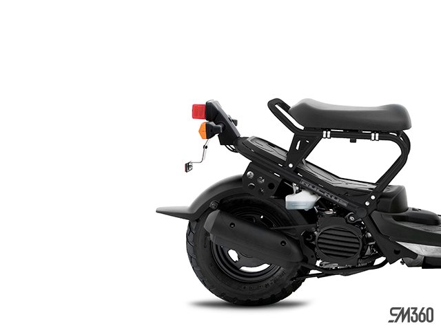 2024 Honda RUCKUS