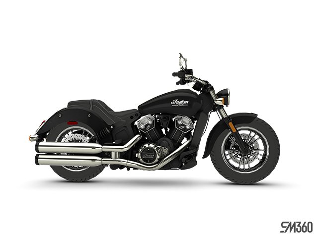 Indian Scout Base Scout 2024