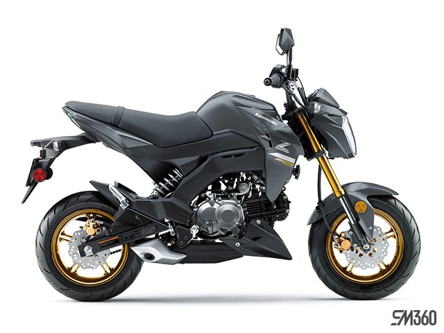 2024 Kawasaki Z125 PRO