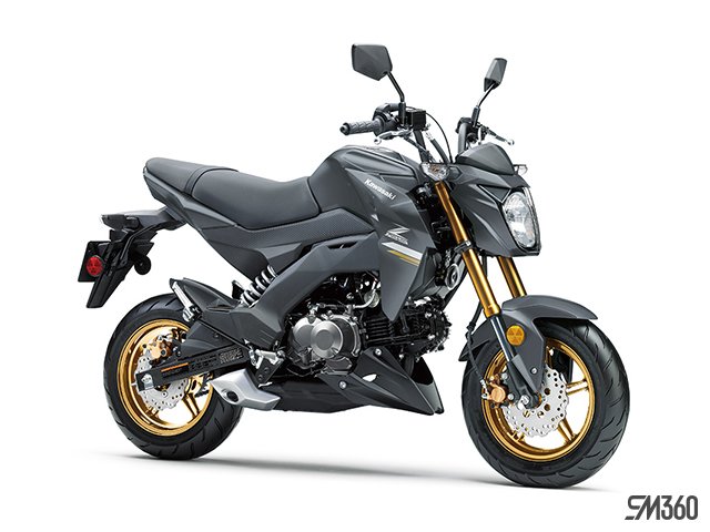 2024 Kawasaki Z125 PRO
