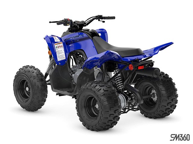 Yamaha RAPTOR 110  2025