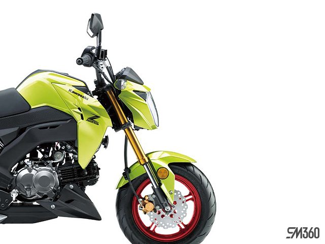 2026 Kawasaki Z125 PRO