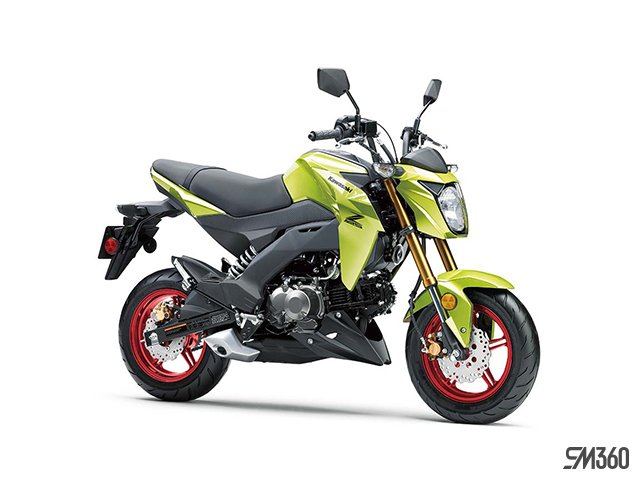 2026 Kawasaki Z125 PRO