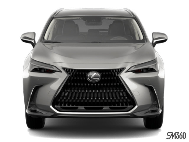 2024 LEXUS NX 250 SIGNATURE photo-2