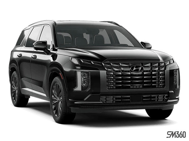 2025 HYUNDAI PALISADE ULTIMATE CALLIGRAPHY NIGHT photo-3