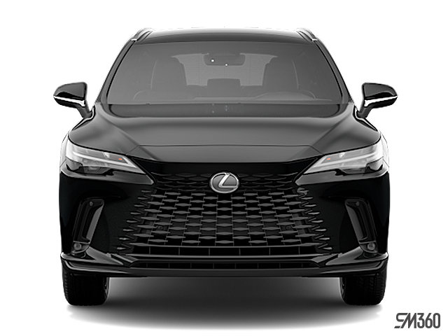 2025 LEXUS RX h 350H photo-2