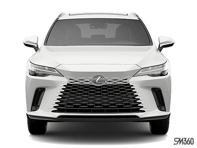 2025 LEXUS RX 350 photo-2