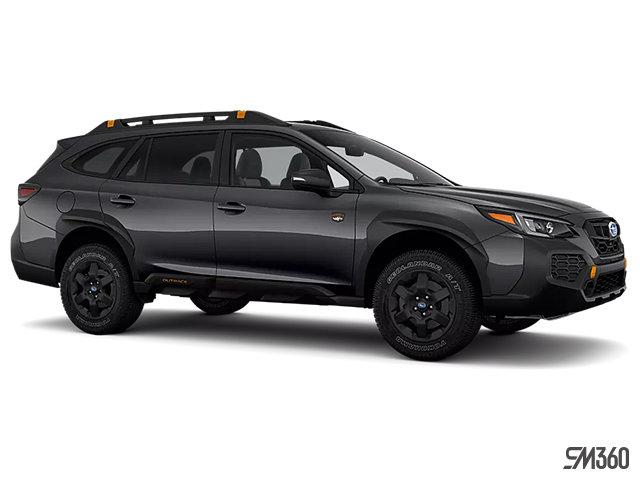2025 SUBARU Outback WILDERNESS photo-3