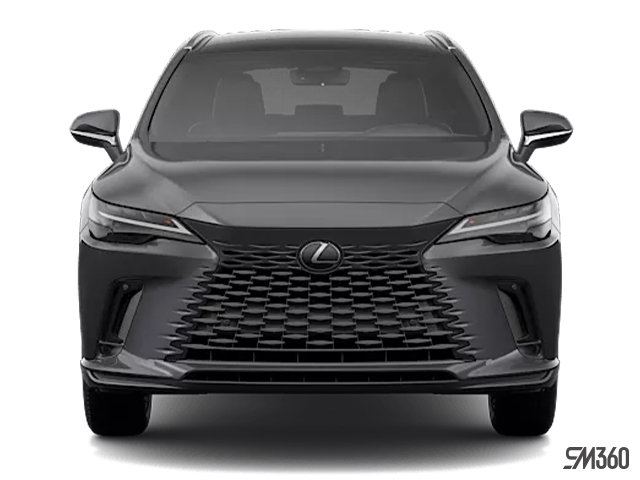 2026 LEXUS RX LUXURY photo-2