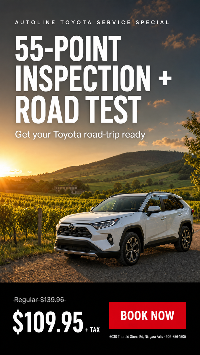 55-Point Inspection ($109.95)