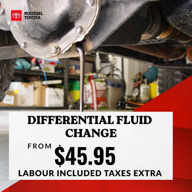 Differential Fluid Change