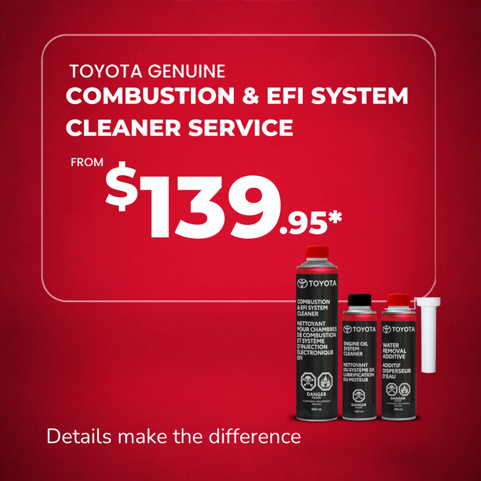 Fuel System Flush