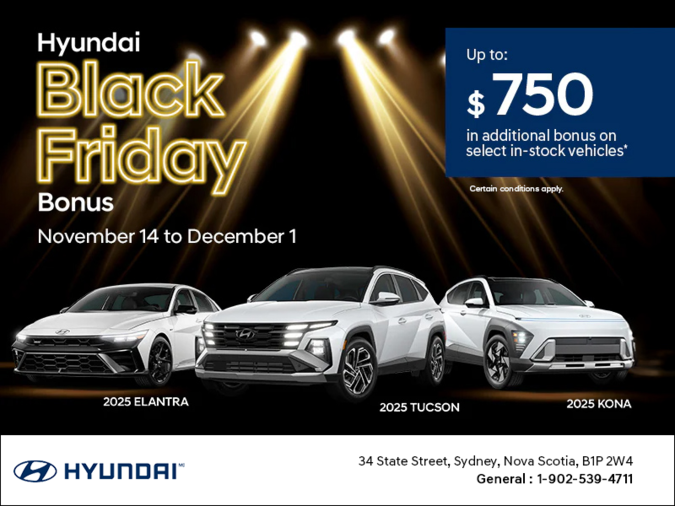 Hyundai Black Friday Bonus.