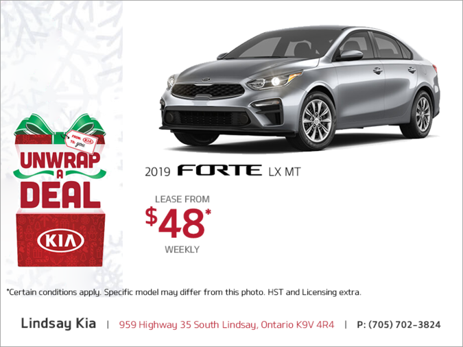 Get the 2019 Kia Forte!