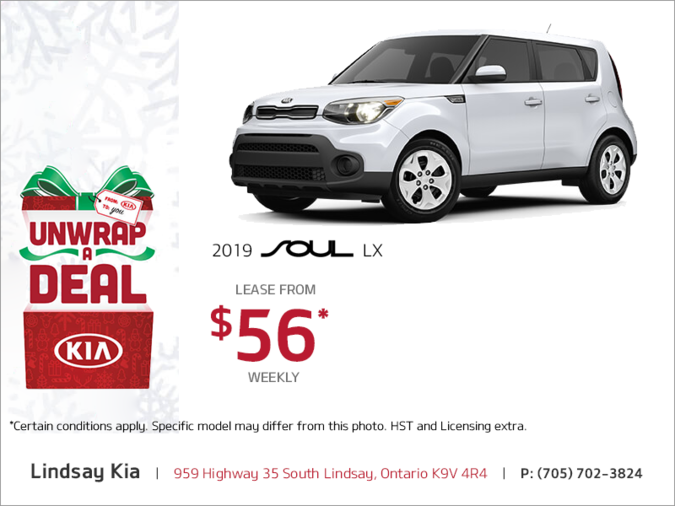The 2019 Kia Soul