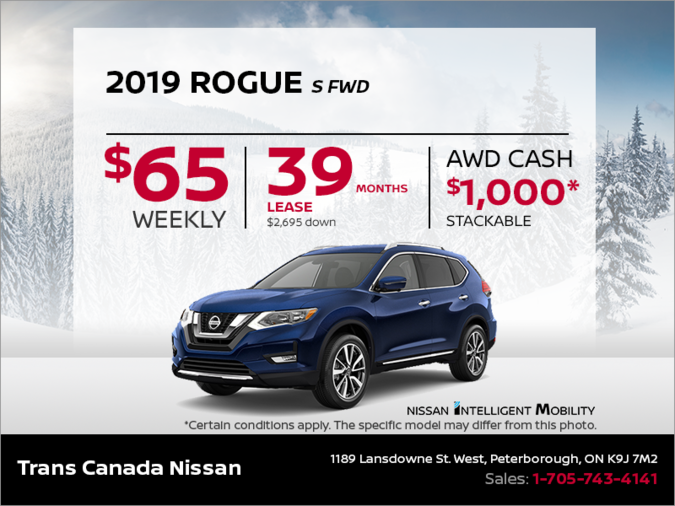Get the 2019 Rogue Today!