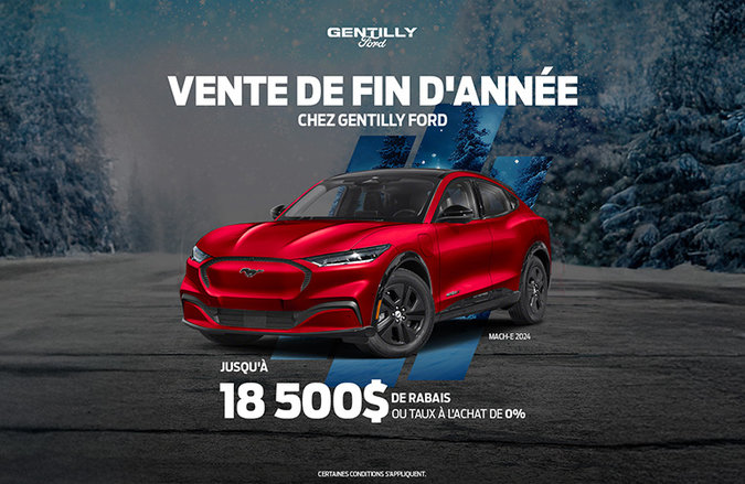 Vente Fin d'année Gentilly Ford