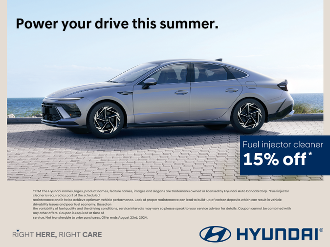 Fuel Injector Cleaner