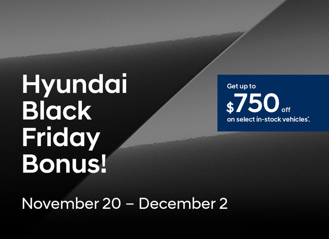 Black Friday Bonus!