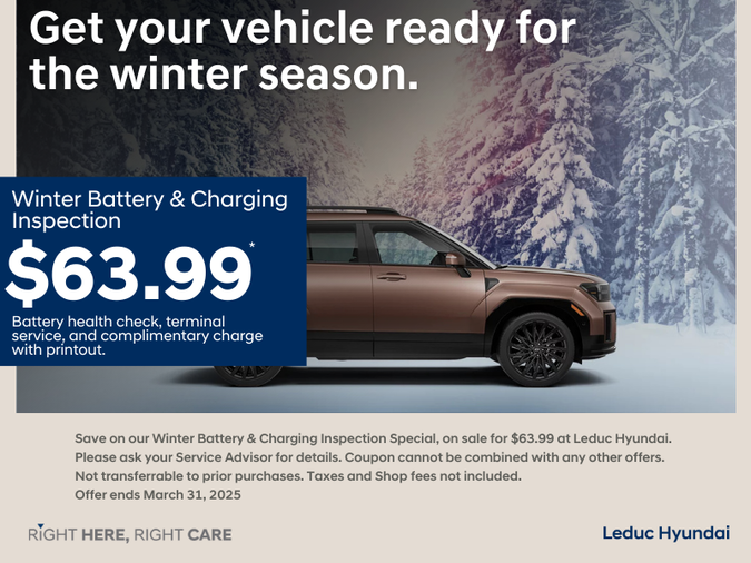 Winter Battery & Charging Inspection Special