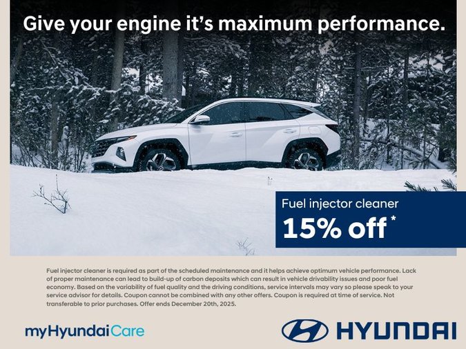 15% off – Fuel Injector Cleaner