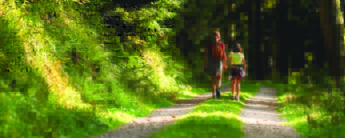 Things To Do This Summer In Oakville