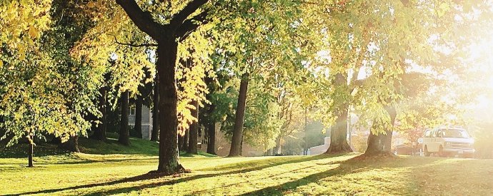 5 Of Mississauga’s Best Summer Parks