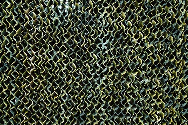 Change Your Air Filter
