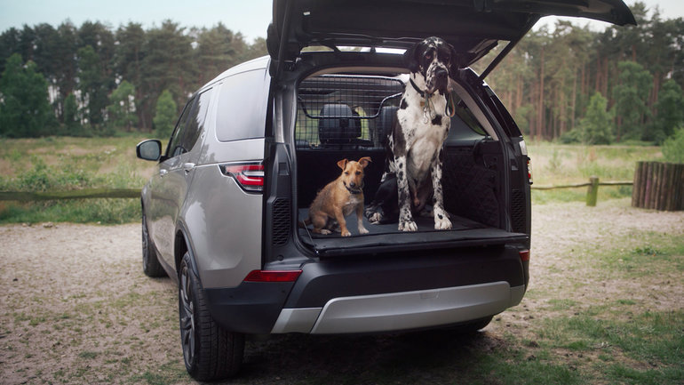 Land Rover lance une gamme d’accessoires pour les animaux