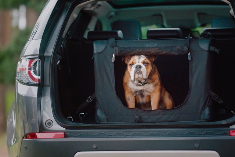 Land Rover lance une gamme d’accessoires pour les animaux
