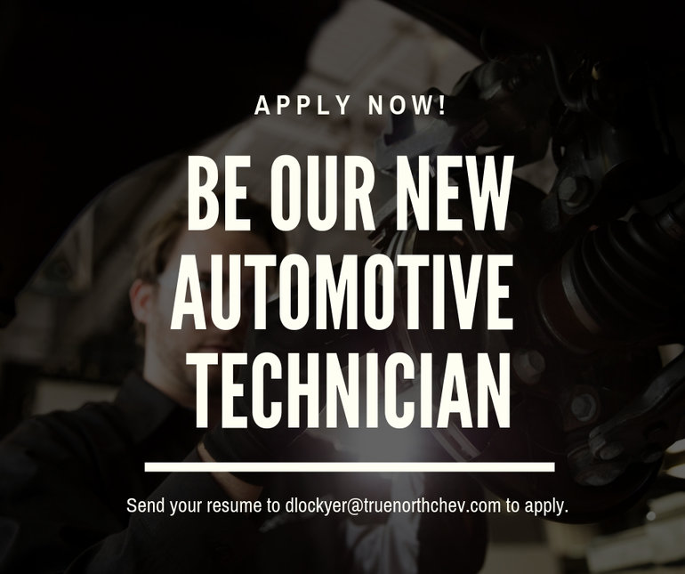 Licensed Automotive Technician