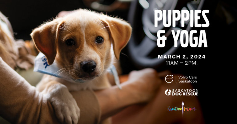 Puppies & Yoga Family Event