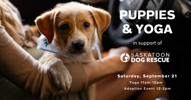 Puppies & Yoga Family Event