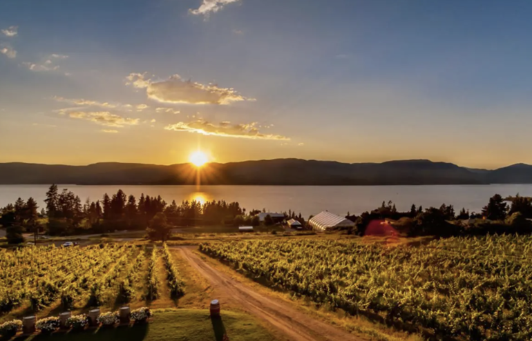 Enter to Win a VIP Volvo Cars Kelowna and Summerhill Winery Experience