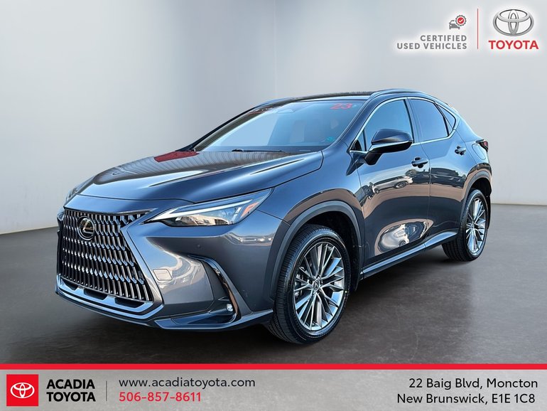 2023 Lexus NX