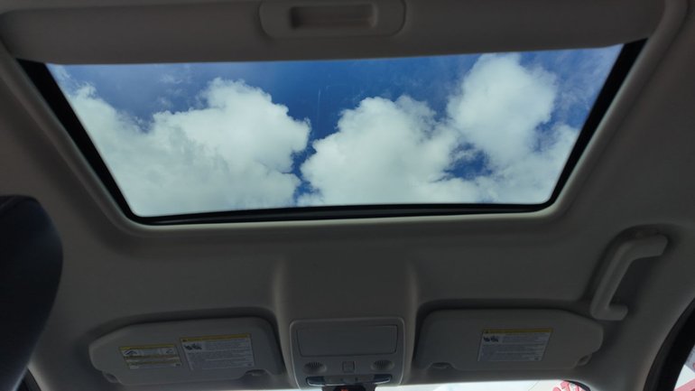 Image 15