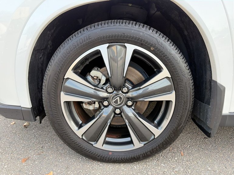Image 17