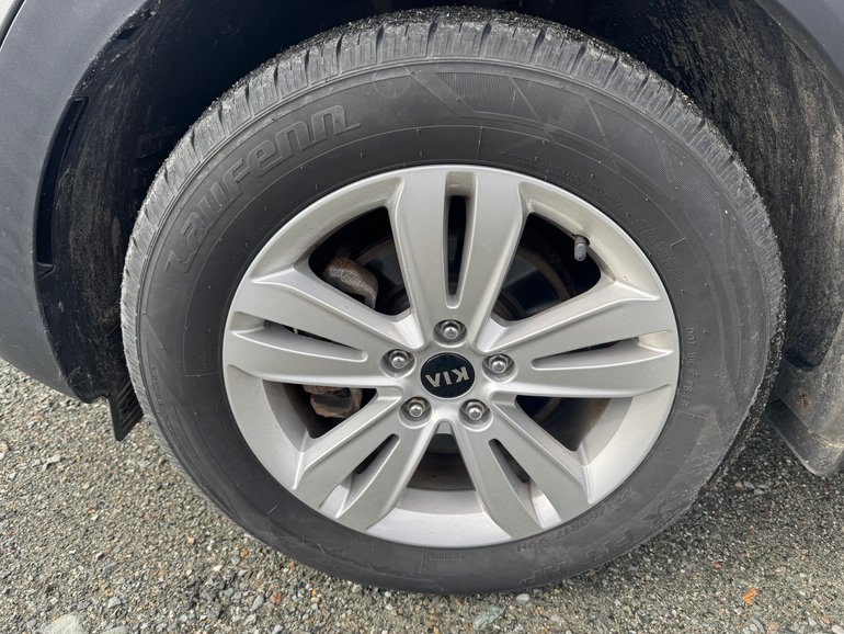 Image 8