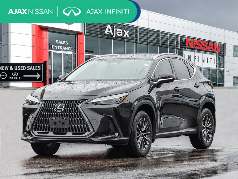 2025 Lexus NX