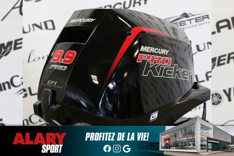 Mercury 9.9EXLPT PK EFI LONG (25 POUCES) 2025