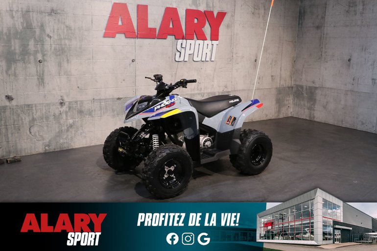 2025 Polaris Phoenix 200