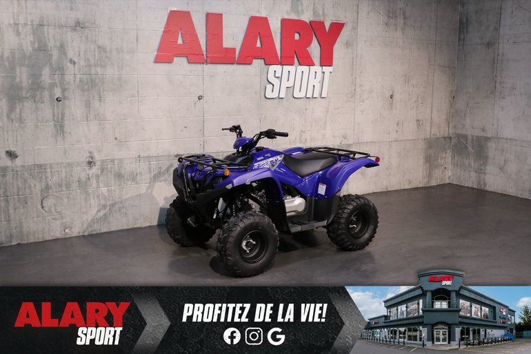 2025 Yamaha GRIZZLY 110